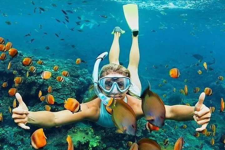 Snorkeling in clear Balinese water